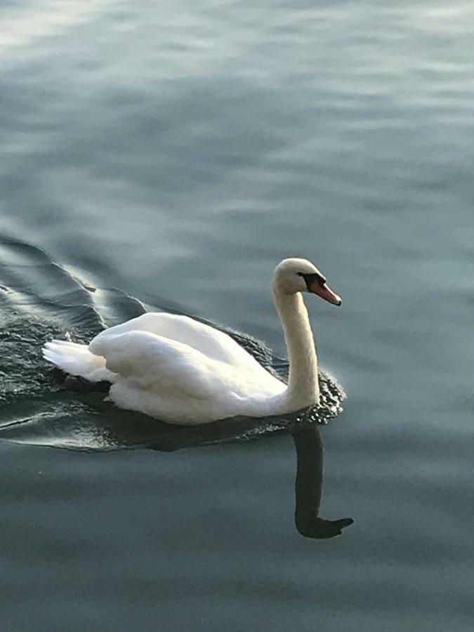 La Casa Di Tito - Como Lake Zewnętrze zdjęcie